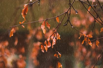 Campfire Routines in Wet Weather