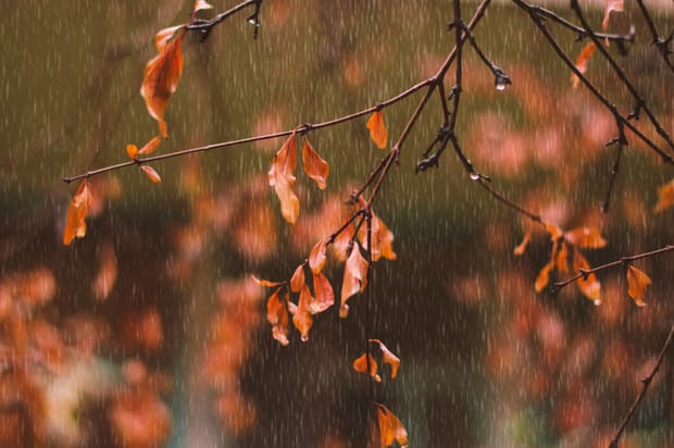 Campfire Routines in Wet Weather